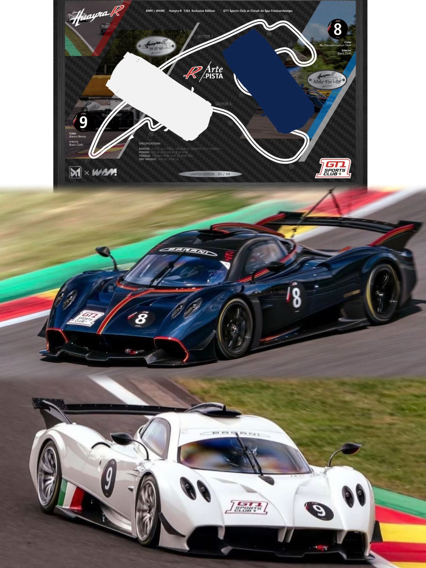 818ca+Huayra+huayra#8 resin model